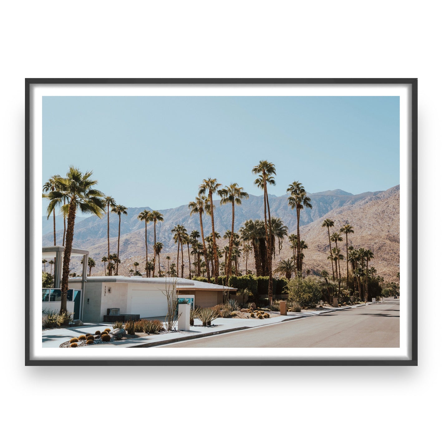 MID CENTURY DREAMING