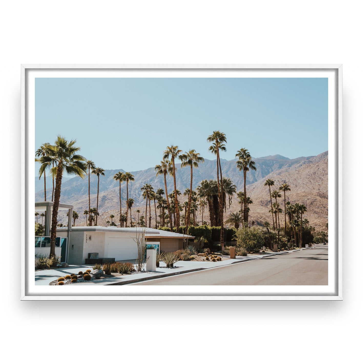 MID CENTURY DREAMING